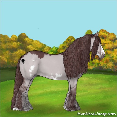 Horse Color:Chocolate Grullo Chinchilla Frame 
