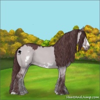 Horse Color:Chocolate Grullo Chinchilla Frame 