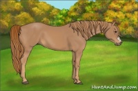 Horse Color:Chestnut Frame
