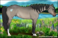 Horse Color:Brown Roan Dun Sabino