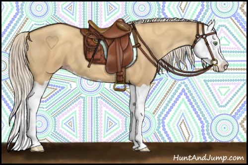Horse Color:Gold Cream Champagne Splash