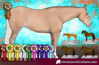 Horse Color:Silver Amber Champagne Rabicano