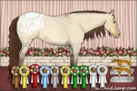 Horse Color:Amber Champagne Roan Dun Appaloosa