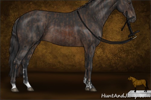 Horse Color:Liver Chestnut Sabino  and Brown Sabino Rabicano 