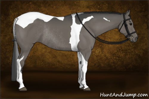 Horse Color:Smoky Grullo Sabino Tobiano Rabicano