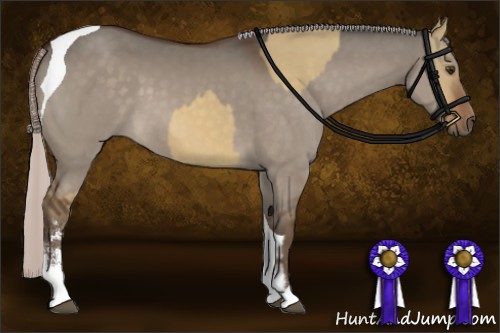 Horse Color:Silver Brown Dun Sabino  and Silver Brown Dun Tobiano 