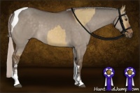Horse Color:Silver Brown Dun Sabino  and Silver Brown Dun Tobiano 