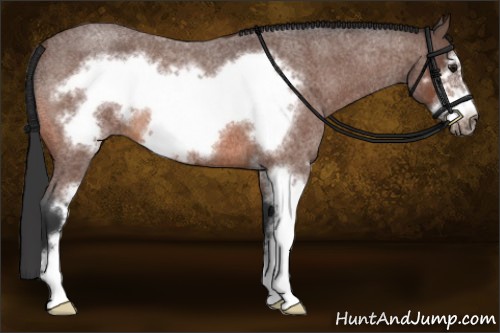 Horse Color:Bay Roan Sabino Frame 