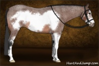 Horse Color:Bay Roan Sabino Frame 