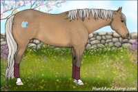 Horse Color:Silver Buckskin 