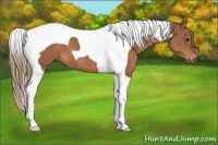 Horse Color:Chestnut Tobiano
