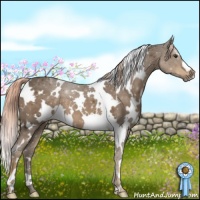 Horse Color:White Spotted Chocolate Palomino