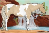 Horse Color:Palomino Roan Tobiano