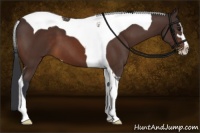 Horse Color:Brown Sabino Tobiano