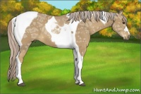 Horse Color:Palomino Ice Tobiano