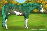 Horse Color:Watercolor Brown Ice Splash Frame Rabicano
