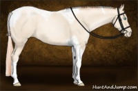 Horse Color:Classic Cream Champagne Pearl Tobiano