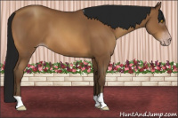 Horse Color:Gray Sable Champagne 