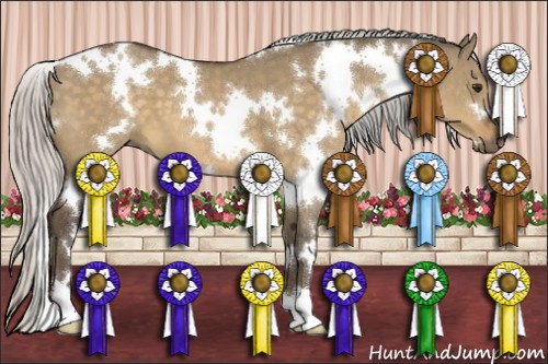 Horse Color:White Spotted Silver Buckskin Dun