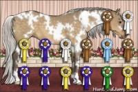 Horse Color:White Spotted Silver Buckskin Dun 