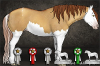 Horse Color:Gray Gold Champagne Dun Splash Appaloosa 