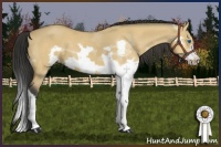 Horse Color:Bay Dun Splash Frame 