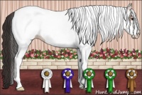 Horse Color:White Spotted Bay Snowflake Varnish