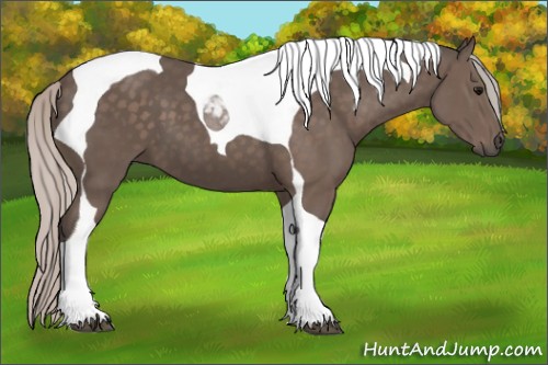 Horse Color:Silver Black Tobiano 