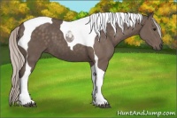 Horse Color:Silver Black Tobiano 
