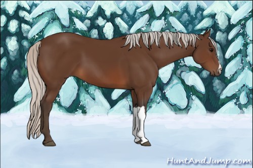 Horse Color:Silver Brown