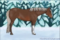 Horse Color:Silver Brown 