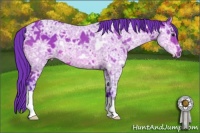 Horse Color:Watercolor Bay Ice 