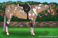Horse Color:White Spotted Brown Roan Dun 