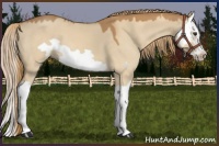 Horse Color:Red Dun Splash Frame 