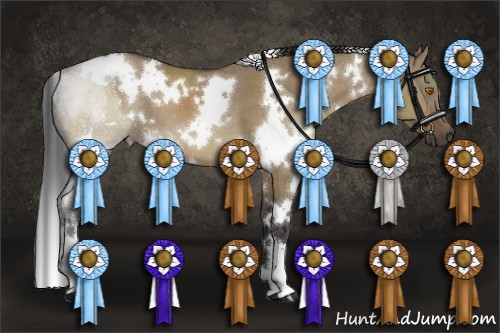 Horse Color:White Spotted Buckskin Dun 
