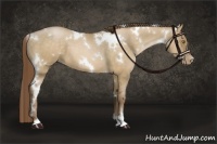 Horse Color:White Spotted Brown Pearl Dun 