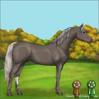 Horse Color:Silver Black Rabicano 