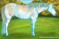 Horse Color:Thunderstruck Liver Chestnut Pearl Splash