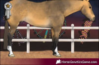 Horse Color:Buckskin 
