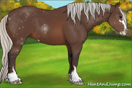Horse Color:Silver Brown Sabino