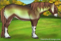 Horse Color:Painted Liver Red Onyx