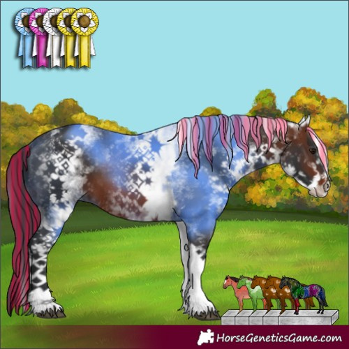 Horse Color:Painted White Spotted Bay 