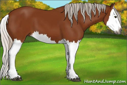 Horse Color:Gray Silver Bay Splash 