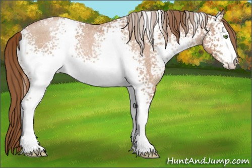 Horse Color:White Spotted Bay Roan Pearl 