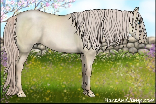 Horse Color:Chocolate Palomino Pearl Dun