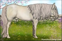 Horse Color:Chocolate Palomino Pearl Dun
