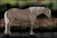Horse Color:Silver Black Sabino 