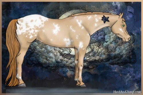 Horse Color:White Spotted Chestnut Pearl Varnish Rabicano
