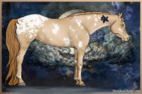 Horse Color:White Spotted Chestnut Pearl Varnish Rabicano