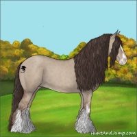 Horse Color:Classic Champagne Dun Sabino 